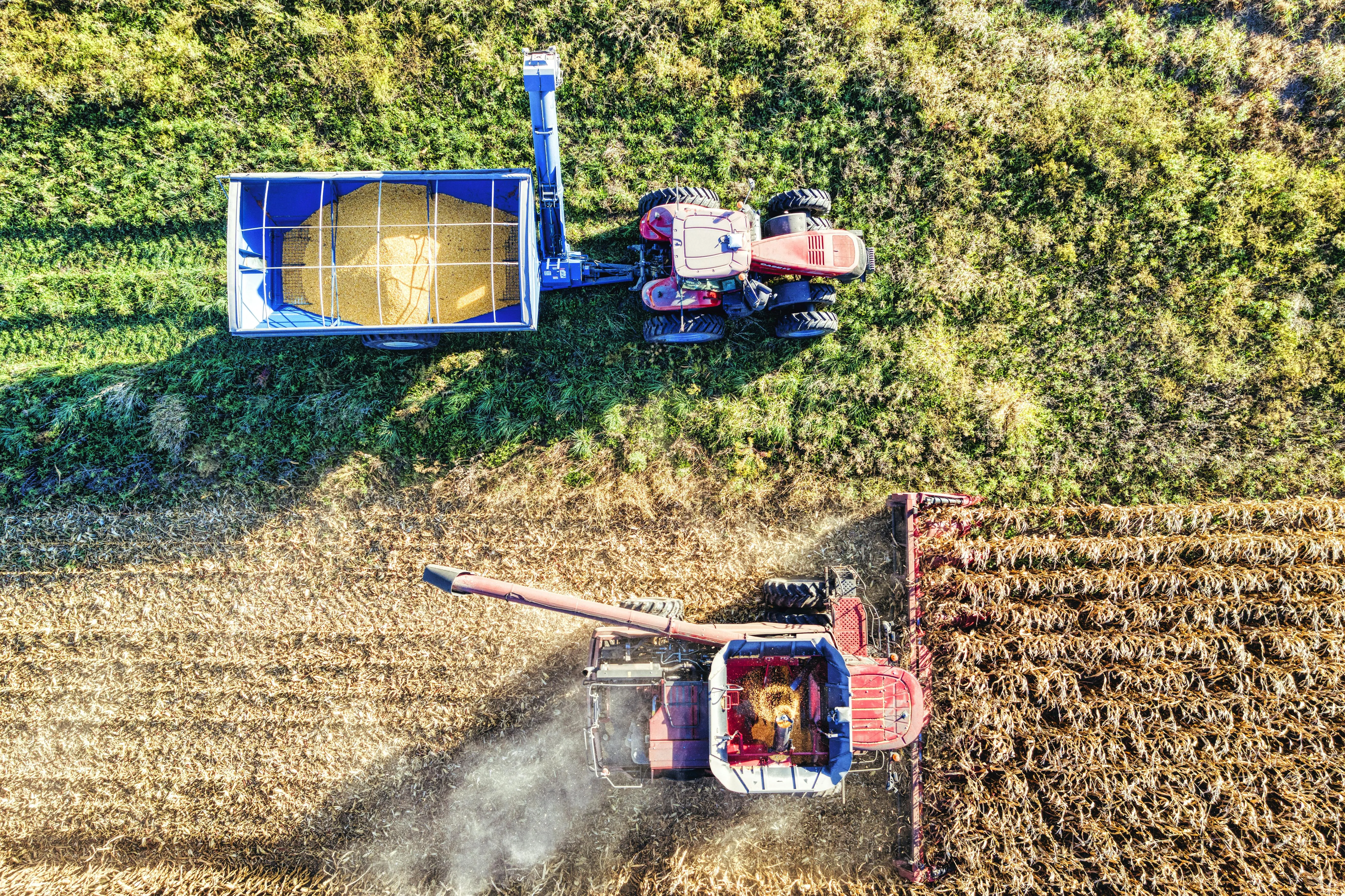 Colheitadeira colhendo milho com trator e carreta vista aérea