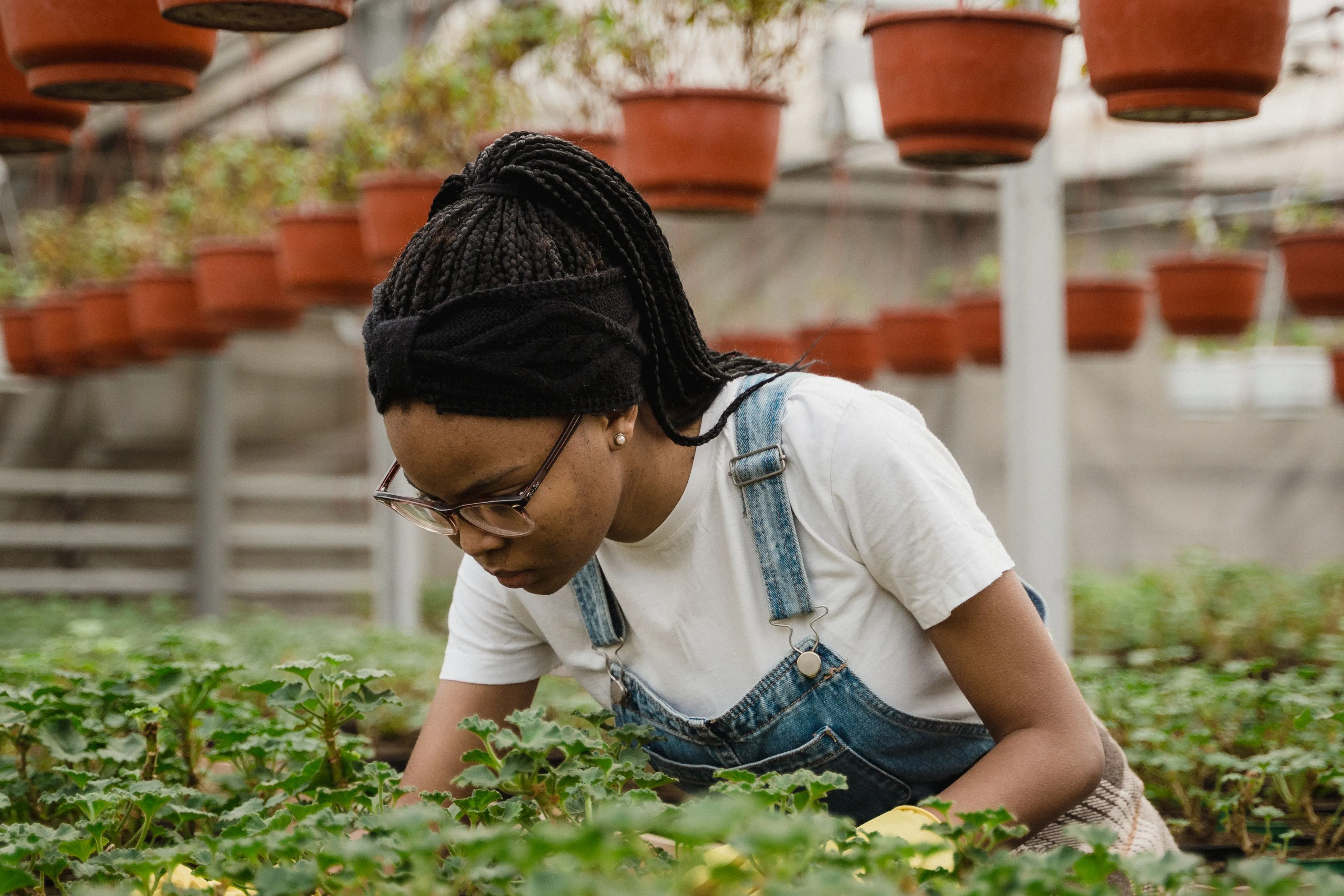 Profissional examina mudas em estufa durante cultivo e monitoramento.