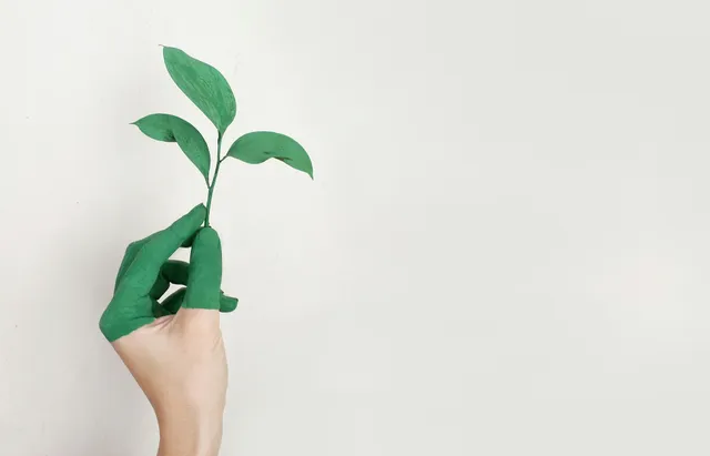Mão com luva verde segurando planta, simbolizando crescimento e ecologia.