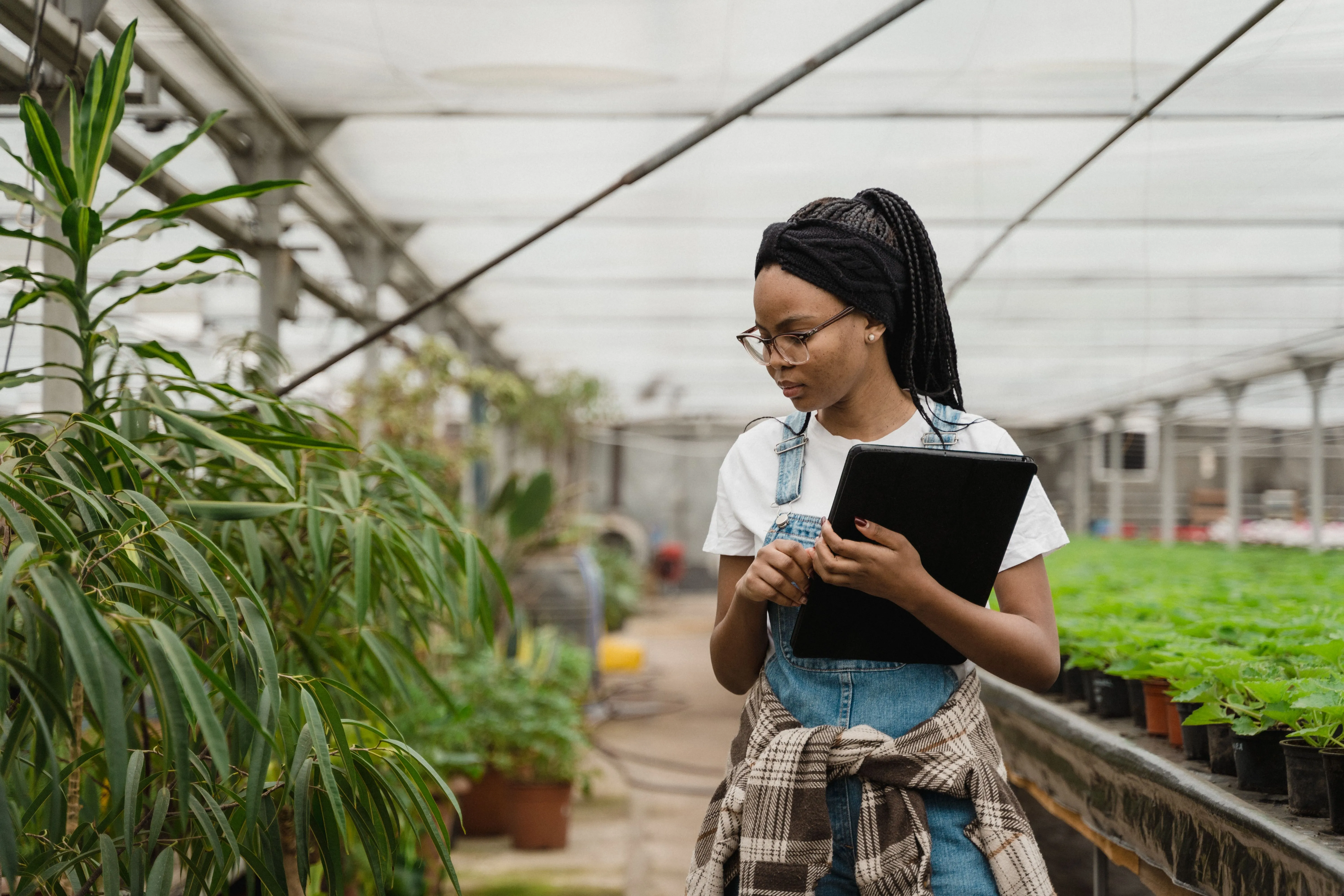 Profissional inspeciona plantas em estufa com prancheta para anotações.