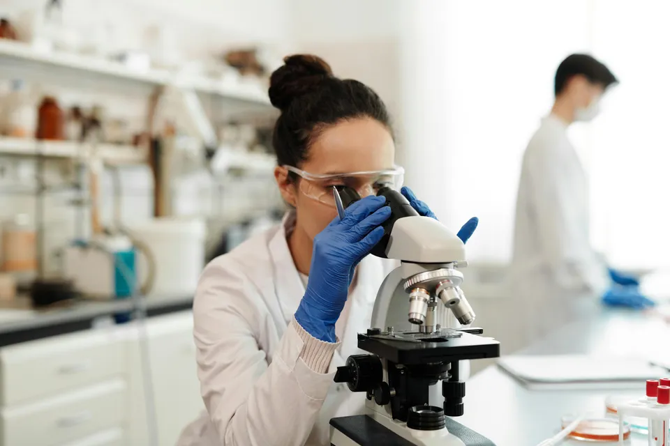 Cientista observa amostra em microscópio dentro de laboratório.