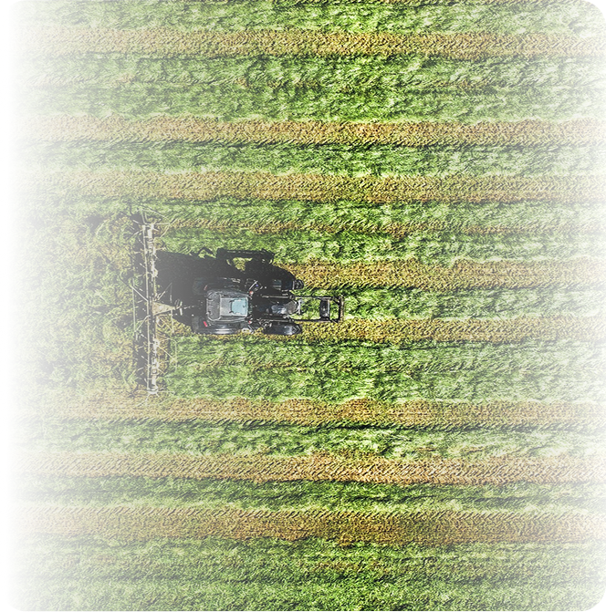 Produtor rural e colheita no campo com LiHai Agro